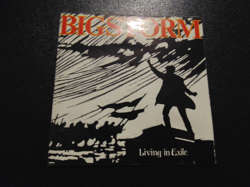Bigstorm cd, Living in Exile, Big Storm, Fibits: CD, LP & Cassette Store